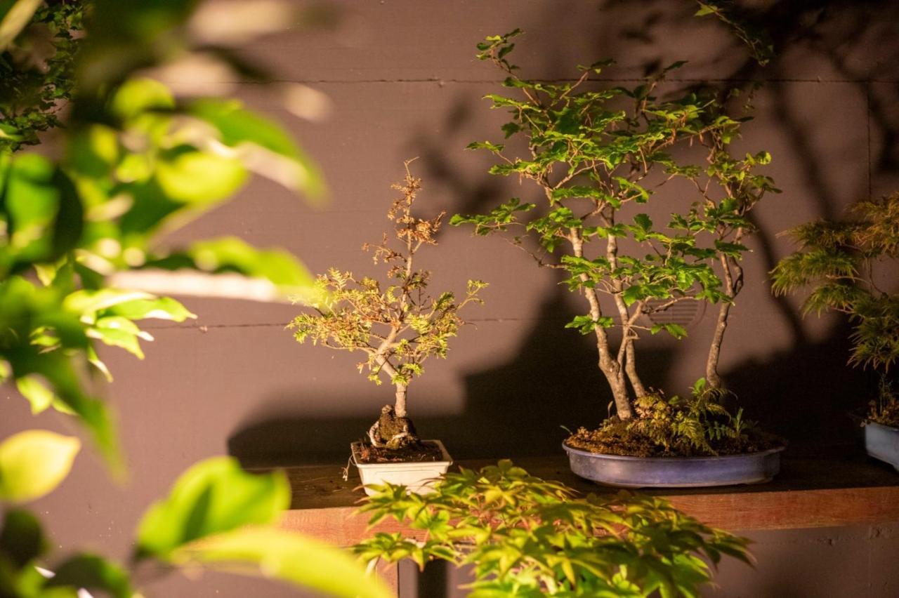 Il Giardino Segreto Apartment Carbognano Bagian luar foto