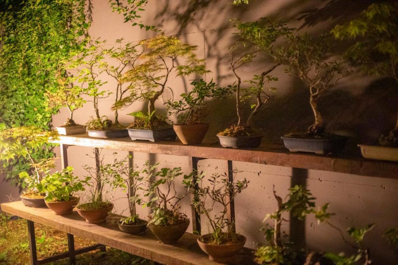 Il Giardino Segreto Apartment Carbognano Bagian luar foto