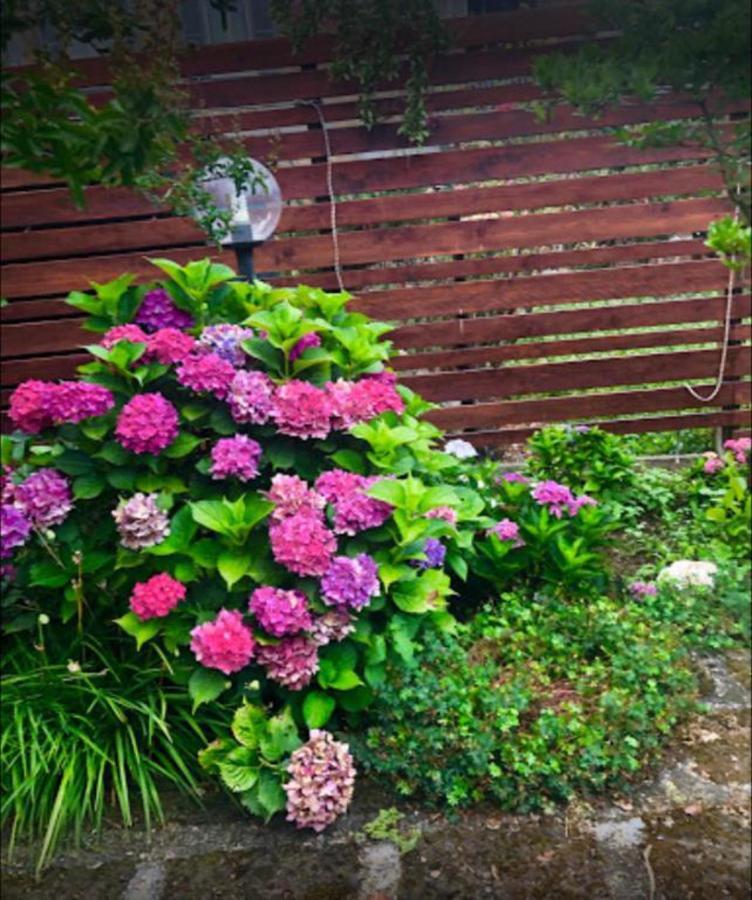 Il Giardino Segreto Apartment Carbognano Bagian luar foto